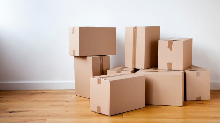 Diy vs Professional Movers Which One is Right for You and Your Love one